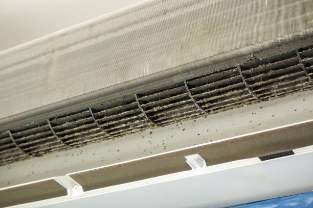 Best Mold and Mildew Removal from Ducts in Brookfield, NJ